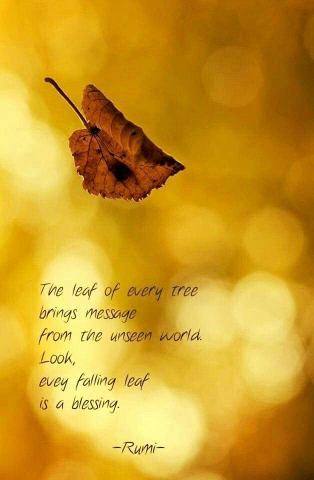 every falling leaf is a blessing. - Rumi | Rumi citaten, Inspirerende  citaten, Teksten
